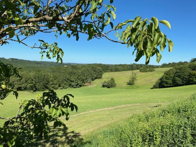 Вилла Domaine De Cazal - Gite 2 Pers Avec Piscine Au Coeur De 26 Hectares De Nature Preservee Сен-Сиприен Экстерьер фото