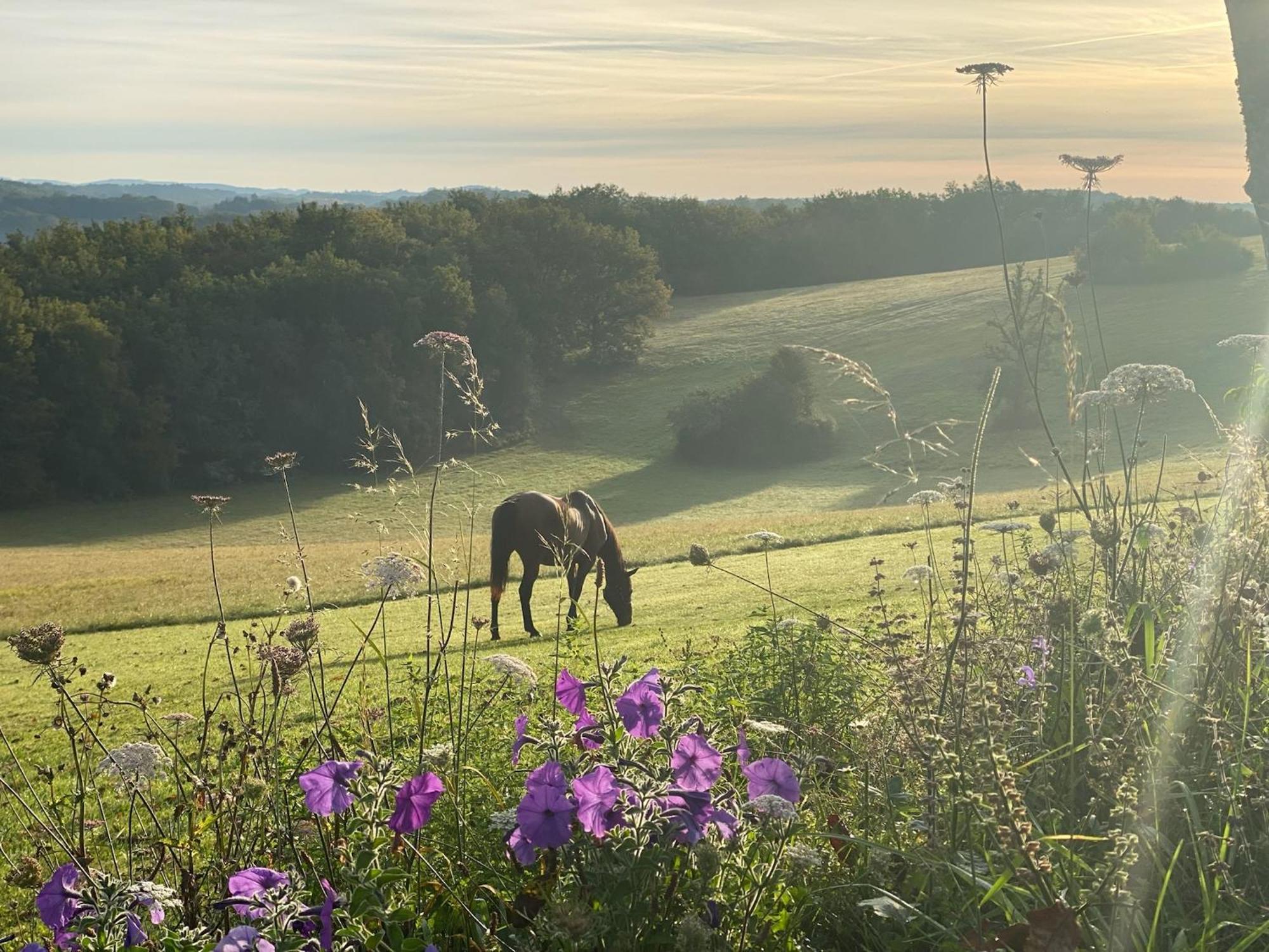 Вилла Domaine De Cazal - Gite 2 Pers Avec Piscine Au Coeur De 26 Hectares De Nature Preservee Сен-Сиприен Экстерьер фото